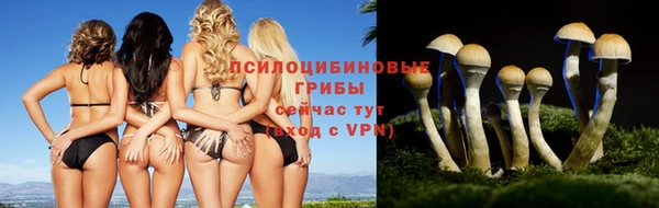 а пвп мука Бугульма