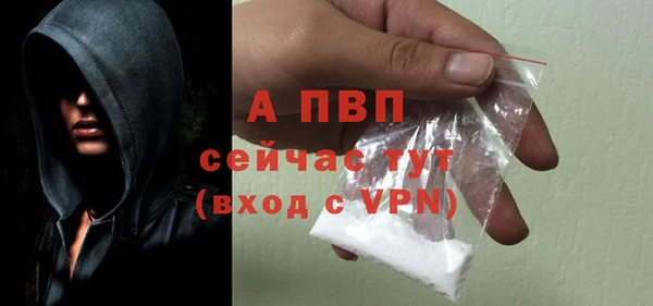 сатива Бронницы