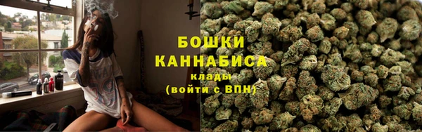 сатива Бронницы
