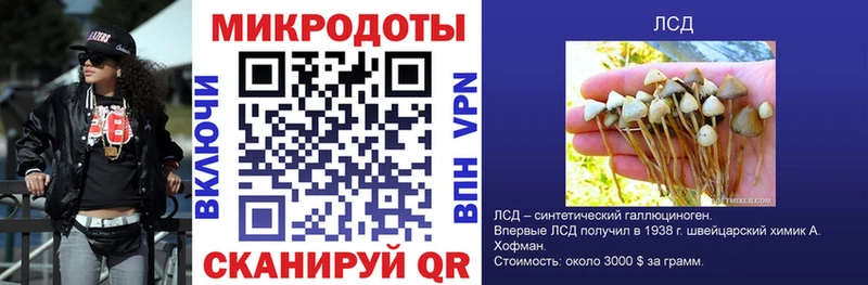 купить   Тобольск  Псилоцибиновые грибы мухоморы 